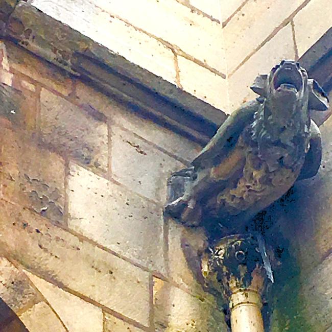Gargoyles at Saint Severin picture Hazel Smith