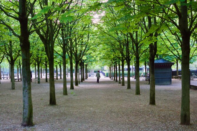 Summer Sights in the Jardin du Luxembourg