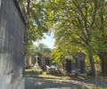 montmartre cemetery