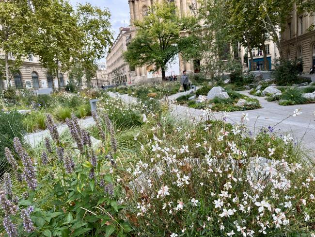 Beautiful New Garden Honors the Paris Terrorist Attack Victims