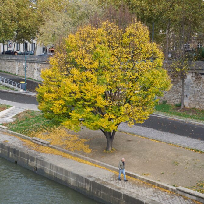 Waving Goodbye to Fall in Paris | Bonjour Paris