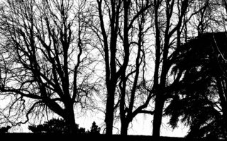 Explore the Hidden Heights of Belleville