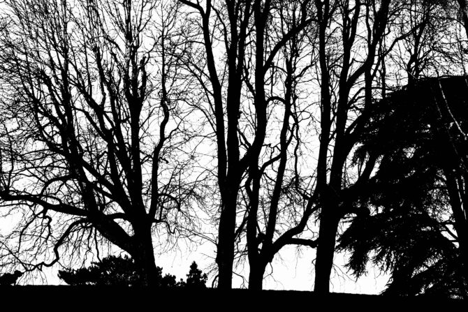 Explore the Hidden Heights of Belleville