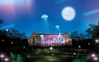“Nature’s Lights” evening illuminations at Jardin des Plantes
