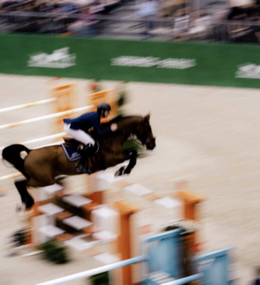 Saut Hermès