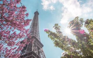 April 2026 Restaurant Buzz: Where to Eat in Paris