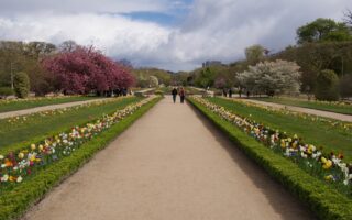 Spring Blooms in the Jardin des Plantes