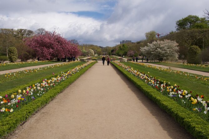 Spring Blooms in the Jardin des Plantes