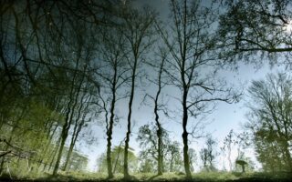 A Return to Yerres and the Maison Caillebotte