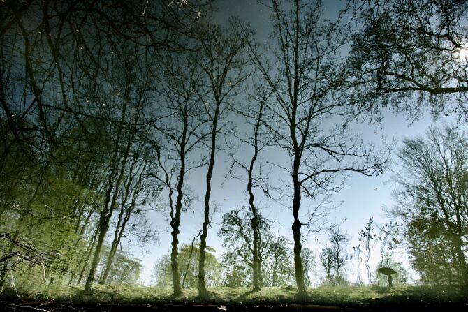 A Return to Yerres and the Maison Caillebotte