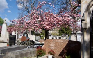An Elevated Necropolis: Finding Light in Passy Cemetery