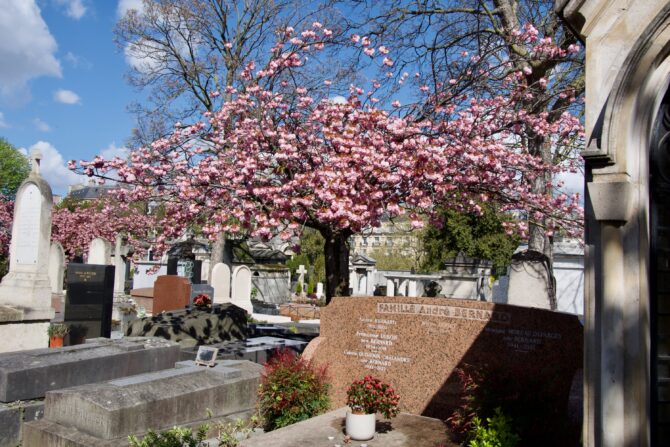 An Elevated Necropolis: Finding Light in Passy Cemetery