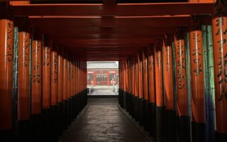 A Journey to Japan Without Leaving Paris