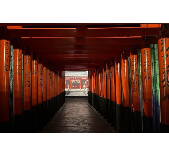 A Journey to Japan Without Leaving Paris…