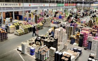 From Les Halles to Rungis: The World’s Largest Fresh Produce Market