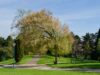 The Countryside in the 19th: Hidden Histories in M...