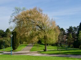The Countryside in the 19th: Hidden Histories in M...