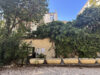 5 Secret Gardens in Paris...