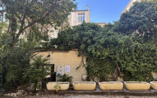 5 Secret Gardens in Paris