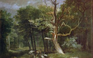 Wolves in Paris