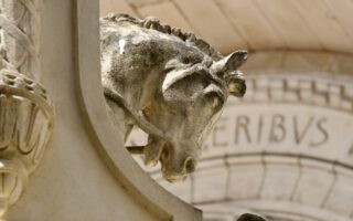 Emotions in Tours: Loire Valley Excursions