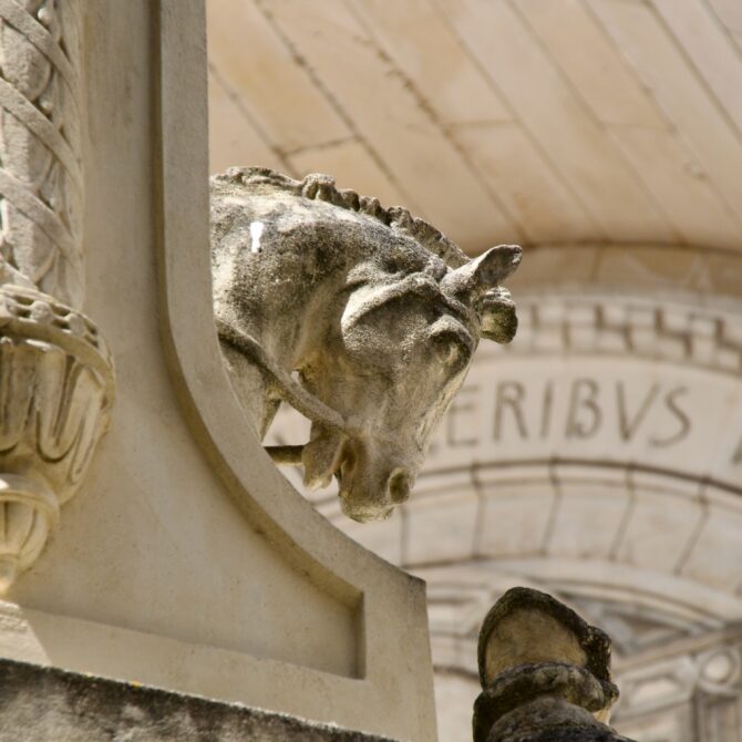 Emotions in Tours: Loire Valley Excursions