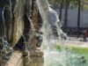 Liquid Meditation at Saint-Sulpice...