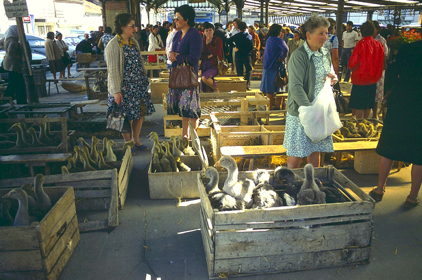 Market at Valence d'Agen ©Josh Aggars