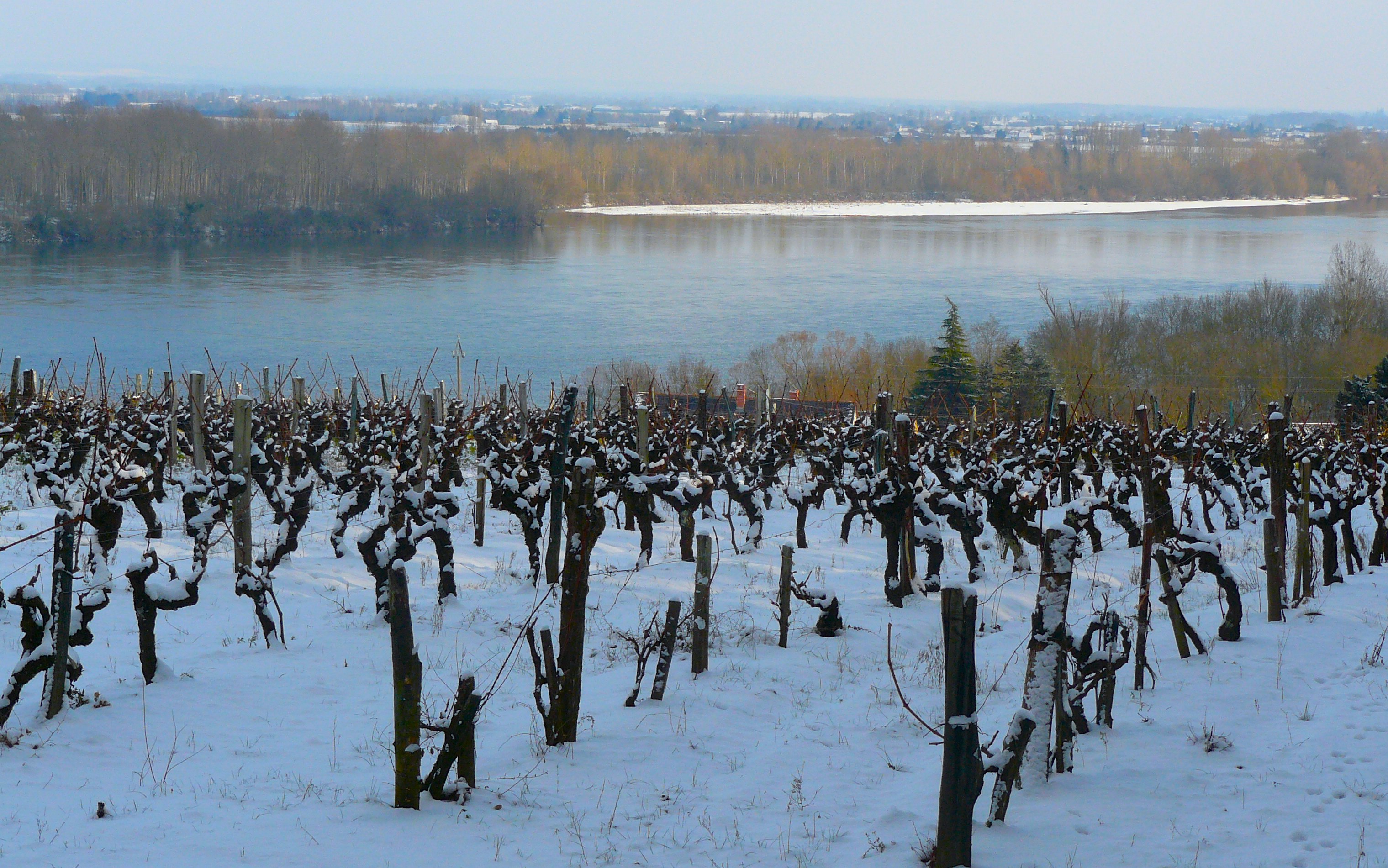 The Loire in December. Photo: C. Henton