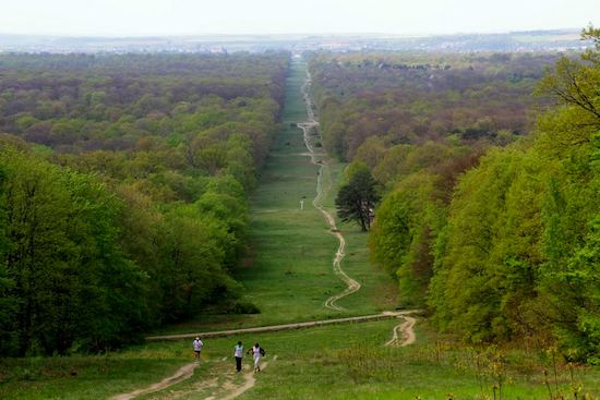 Forests of Compiegne. Photo courtesy of Compiegne Tourism.