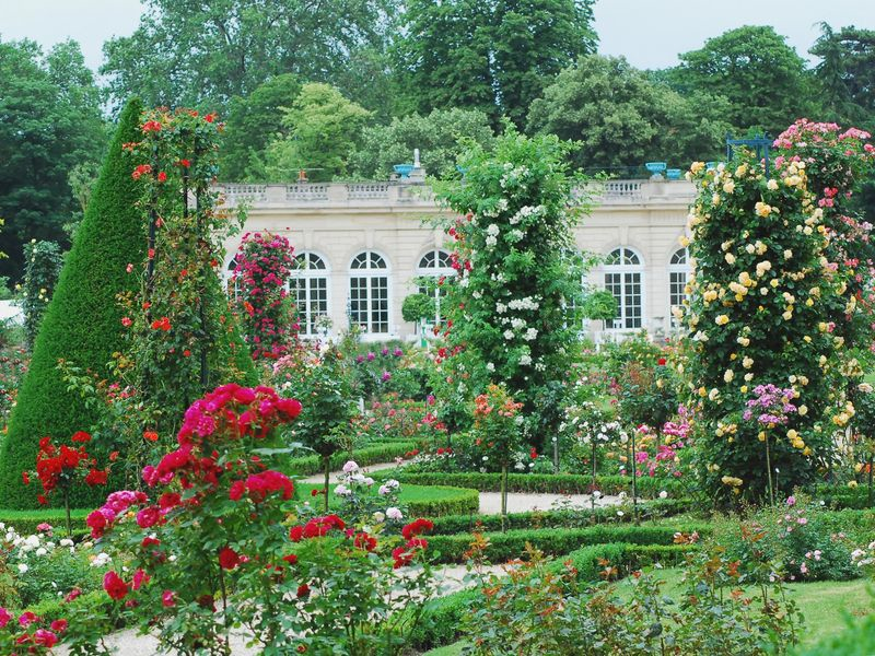 Parc de Bagatelle at Bois de Boulogne ©LeFigaro