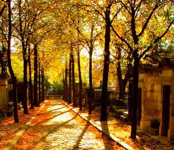 Pere Lachaise @Jim_Senior