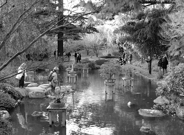 Visitors at the Japanese garden. Photo by atsirou.