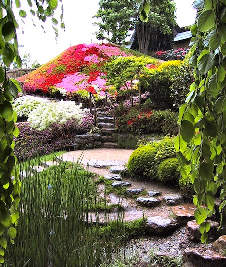 Garden at Albert Kahn before the Japanese pagoda. Photo by salix.