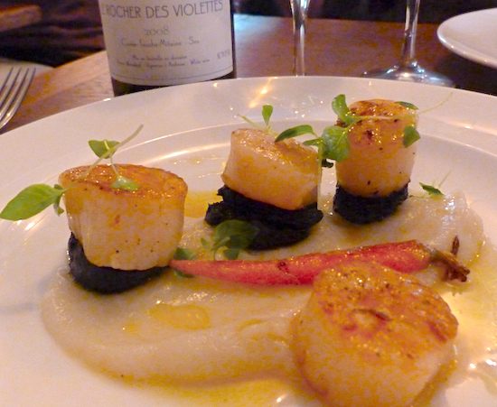 Roasted scallops at Albion. Photo: MZ Johnston