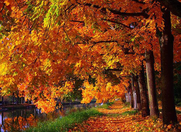 Autumn in France. Photo: luckyone