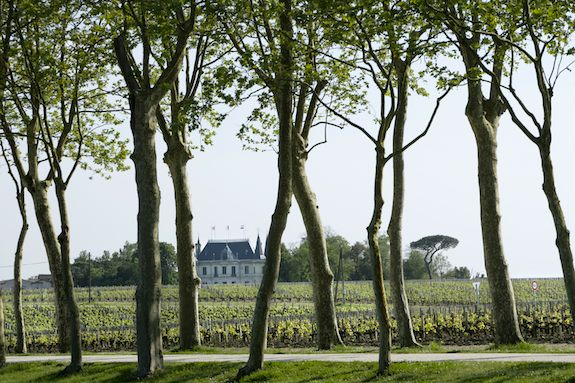 Bordeaux's Left Bank  Photo © Clay McLachlan 2011