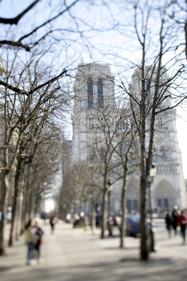 Notre-Dame in Winter. Photo: ©Clay McLachlan 2011 ©claypix