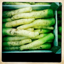 White carrots at Rungis Market