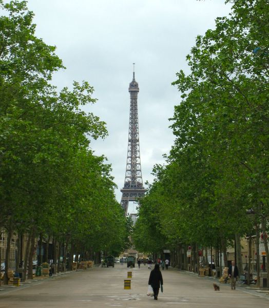 There was a market here. Photo: Tracy Elaine