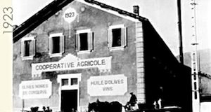 Vignolis Cooperative circa 1923  courtesy of Vignolis 